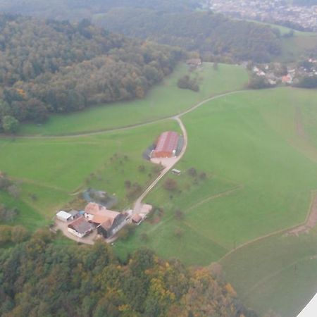 Gite A L'Oree Des Biches Sainte-Marie-aux-Mines Exterior foto