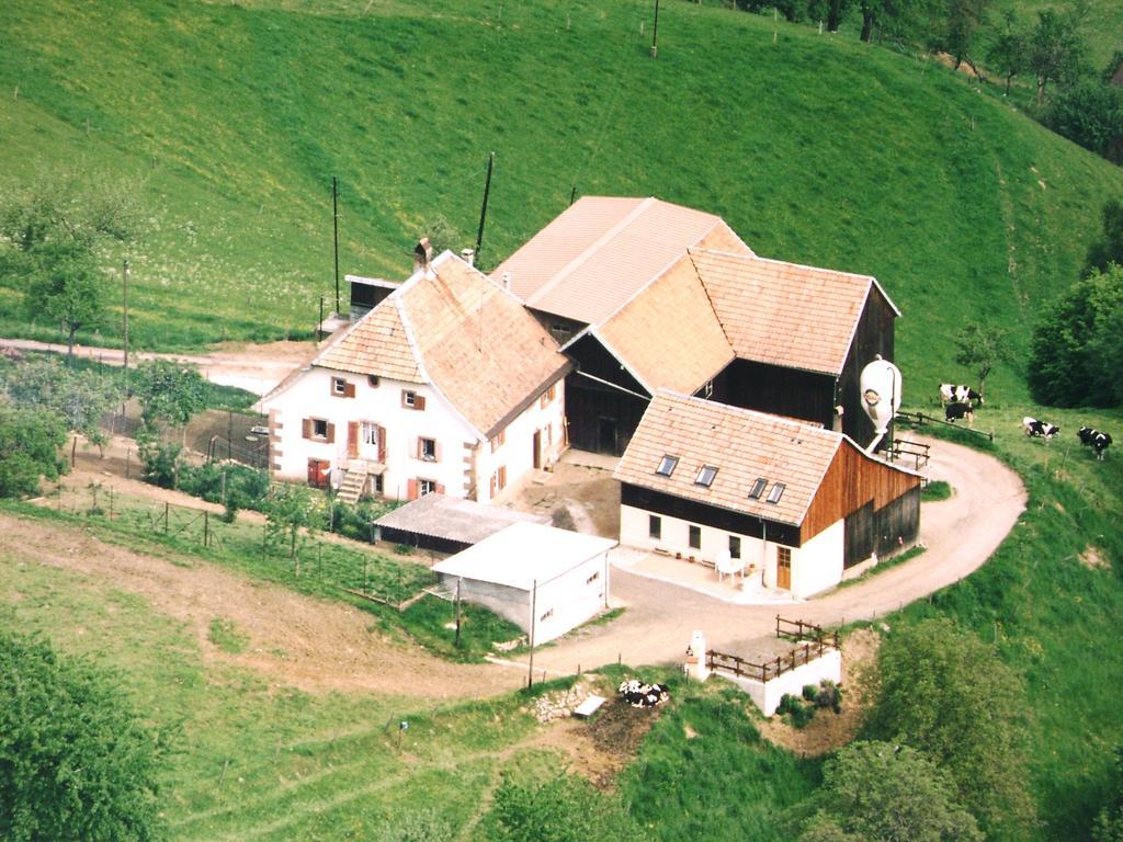 Gite A L'Oree Des Biches Sainte-Marie-aux-Mines Quarto foto
